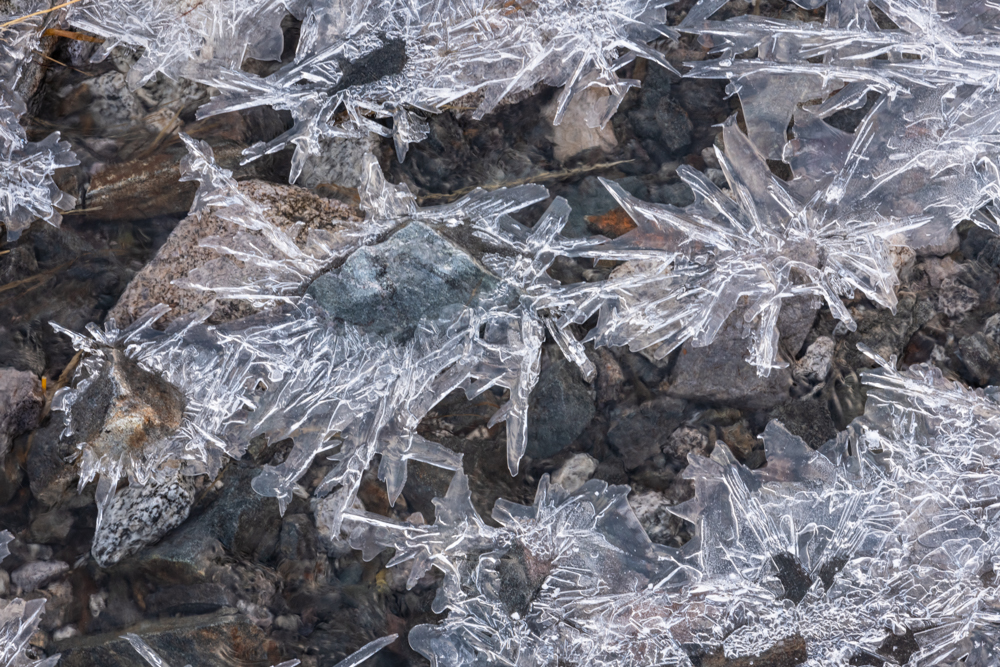 2020-02-25 10-45-13 (B-Radius8-Smoothing4)